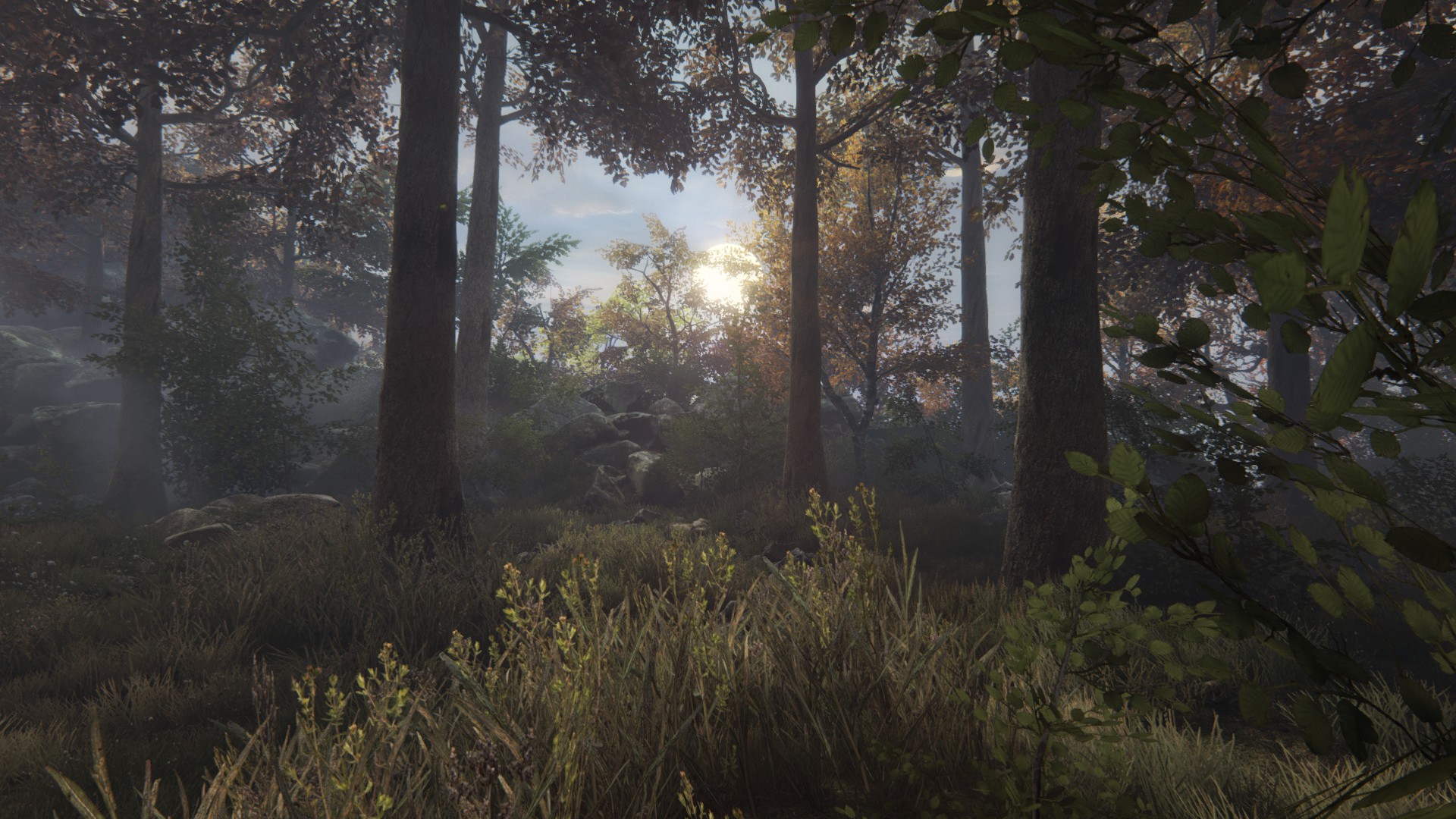 The Vanishing Of Ethan Carter